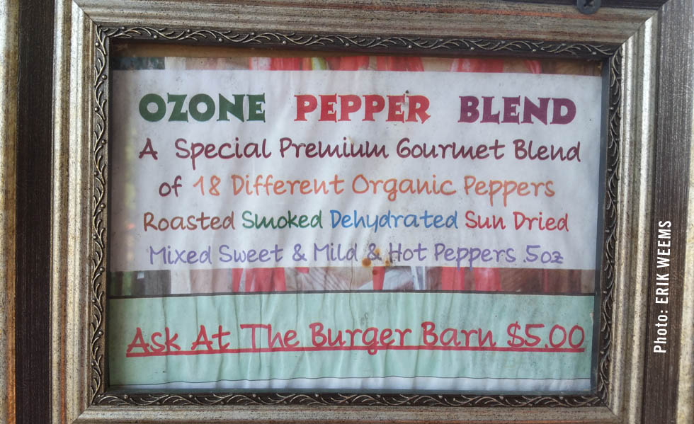 Ozone Pepper Blend - The Burger Shack 2016