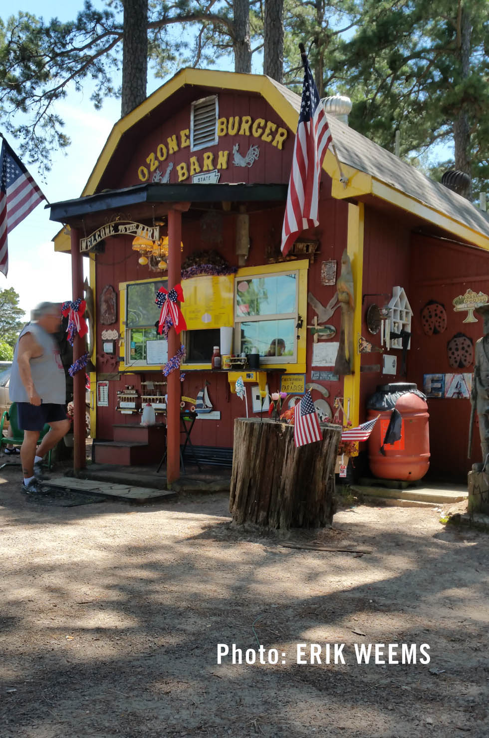 The Burger Barn Ozone Arkansas 2016